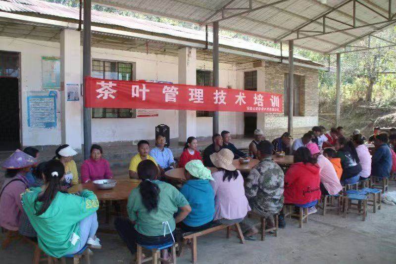 非遗制茶工艺